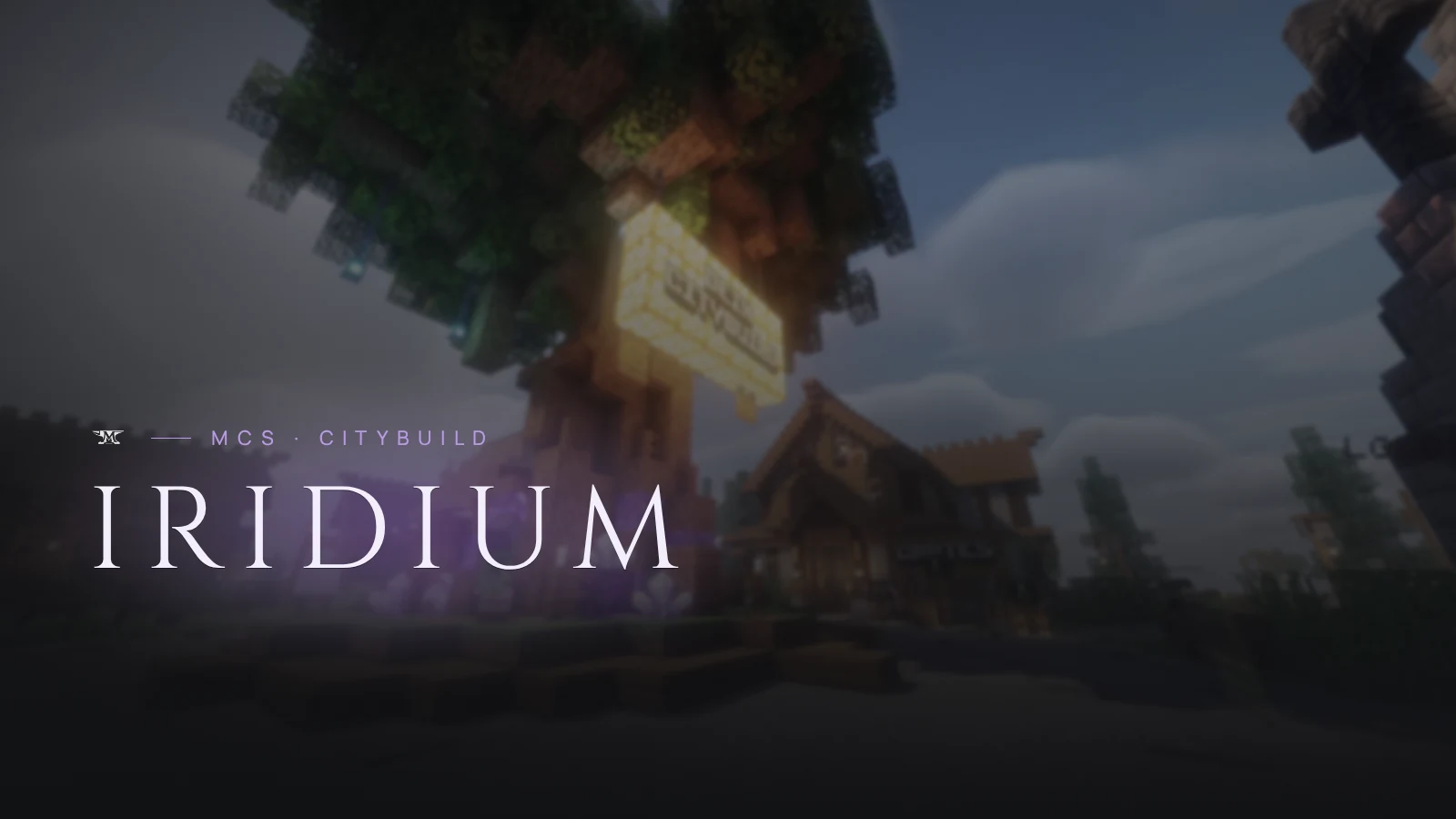 MCS Iridium
