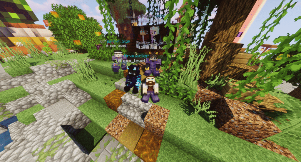 Über Uns, Fertige Minecraft Server, Fertiger Citybuild Server über uns